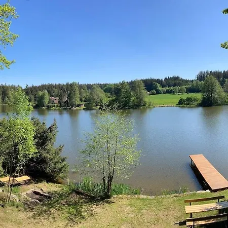 Forest, Lake, Fireflies, Campfire - What Else