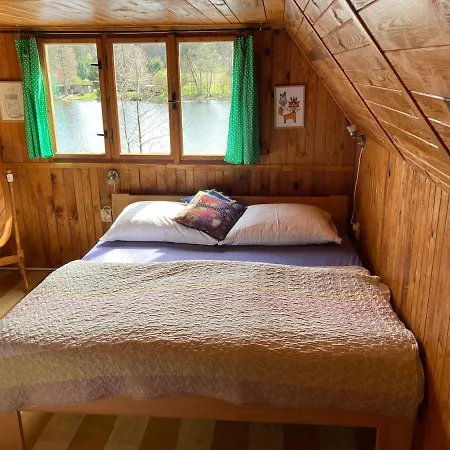 Tatil Evi Forest, Lake, Fireflies, Campfire - What Else