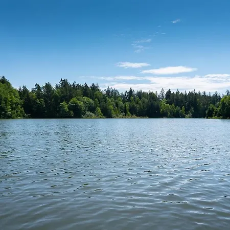 Forest, Lake, Fireflies, Campfire - What Else Tatil Evi Jindřichŭv Hradec