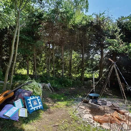 Forest, Lake, Fireflies, Campfire - What Else * Jindřichŭv Hradec