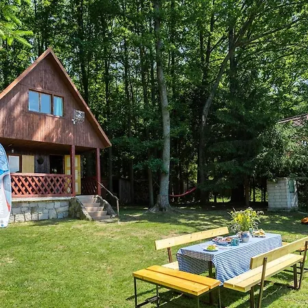 Forest, Lake, Fireflies, Campfire - What Else