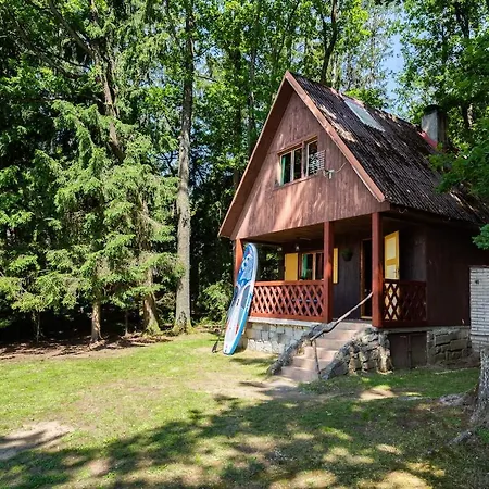 Forest, Lake, Fireflies, Campfire - What Else *