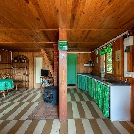 Forest, Lake, Fireflies, Campfire - What Else * Jindřichŭv Hradec