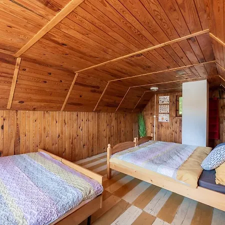 Forest, Lake, Fireflies, Campfire - What Else Tatil Evi