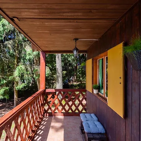 Forest, Lake, Fireflies, Campfire - What Else Tatil Evi