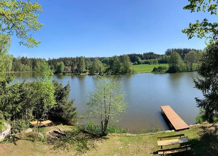 Forest, Lake, Fireflies, Campfire - What Else