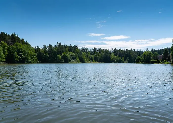 Forest, Lake, Fireflies, Campfire - What Else Prázdninový dům Jindřichův Hradec